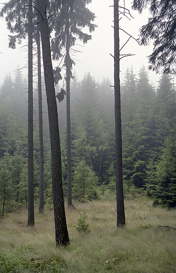 Mlha na Klku - men formt