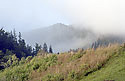 Mlha nad Čelnem - hlavní odkaz