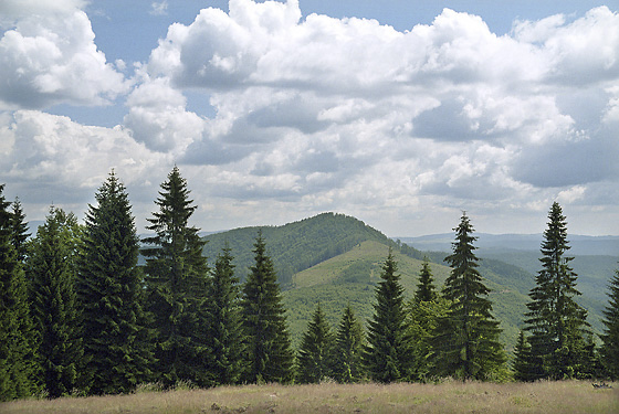 "Jeleov" Hill - smaller format