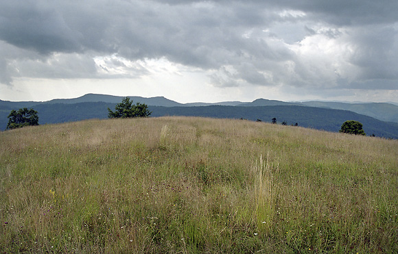 View to north-west - smaller format