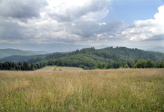 View to north - smaller format