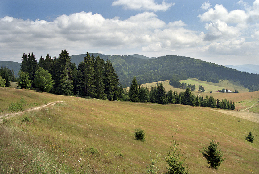 Sedlo Kysuca-Uhliarka - vt formt