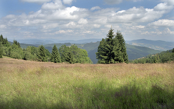 Landscape near "Vepor" - smaller format