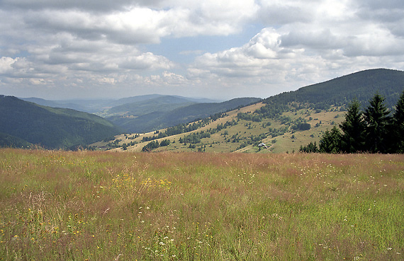 "Vepor Creek Valley" - smaller format