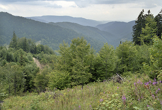 "Rimava" valley - smaller format