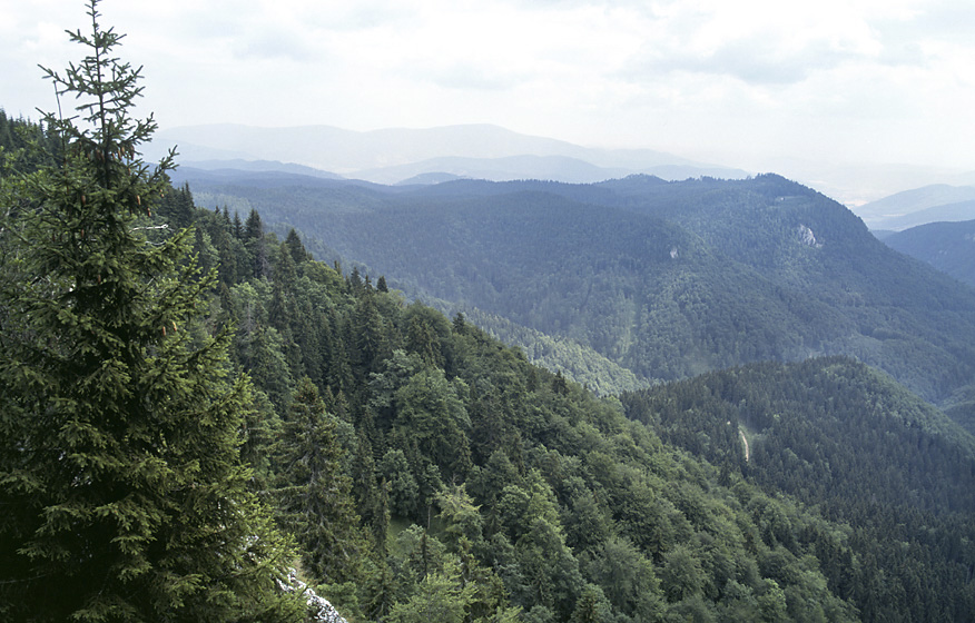Murnsk planina - vt formt