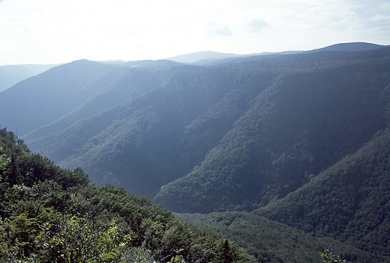 View to west - smaller format