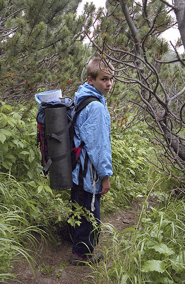 In mountain pine - smaller format