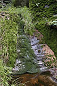 Moist nook - main link