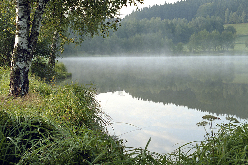 Rno u rybnka - vt formt