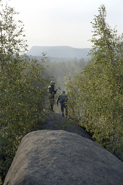 Haen ve skalch - vt formt