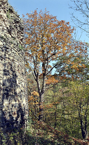 Podzim na hradě - menší formát