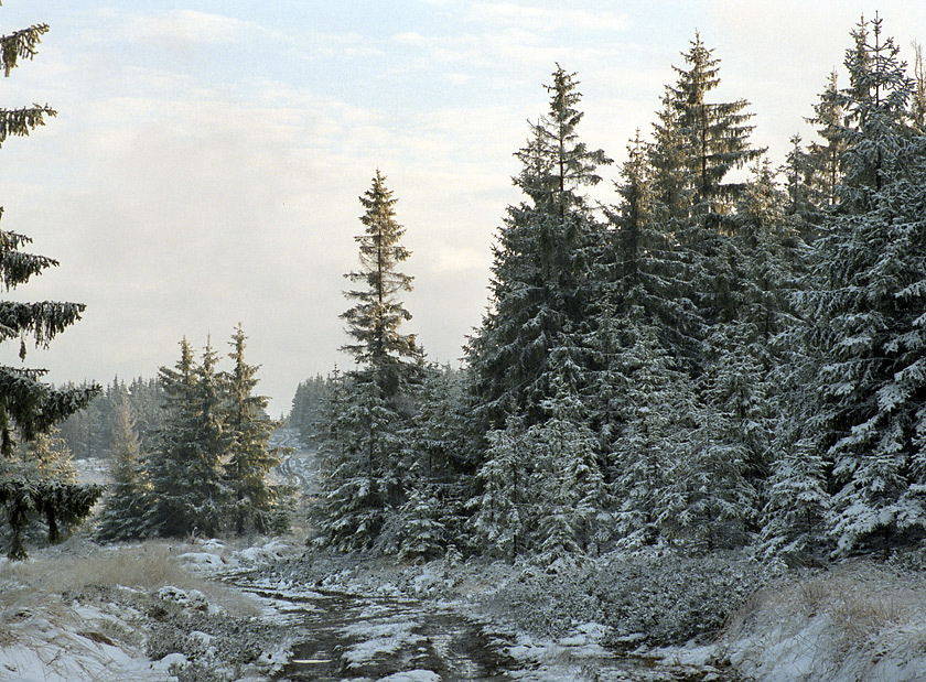 Cesta k vrcholu - vt formt