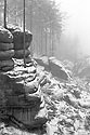 "Fox Gorge" - main link