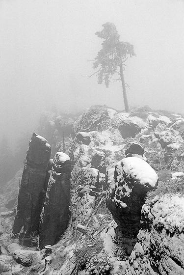 Foggy - smaller format
