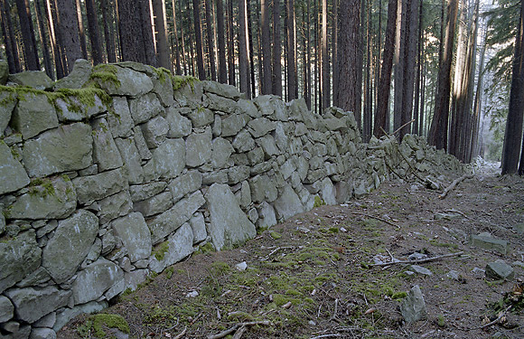 Wall - smaller format