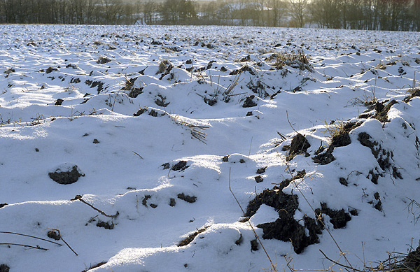 Ploughed land - smaller format