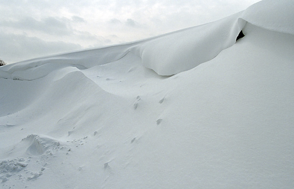 Snowdrift - smaller format