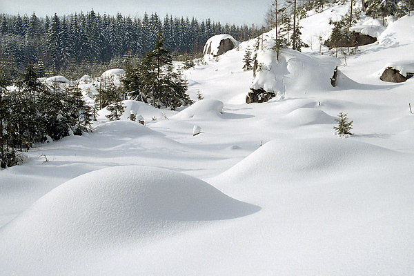 In "Teplice Rocks" - smaller format