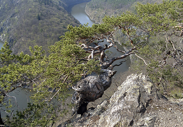 On the "May" rock - smaller format