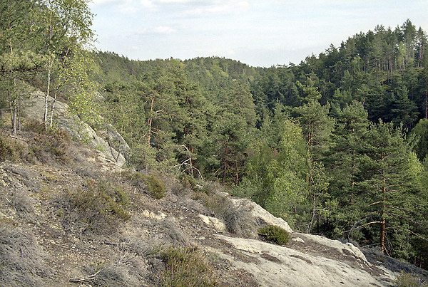 Martinsk stny - men formt