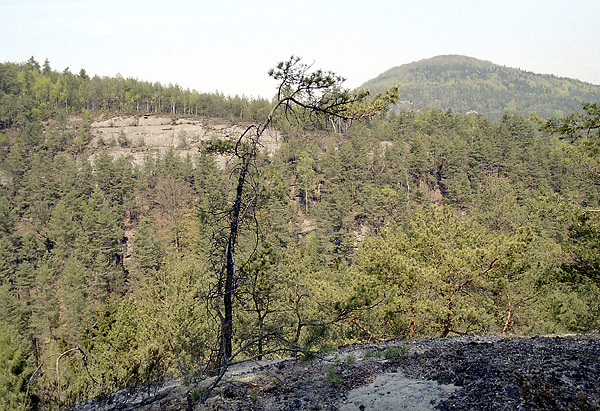 Ve skalch pod Husou - men formt