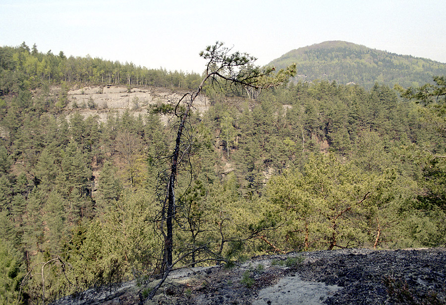 Ve skalch pod Husou - vt formt