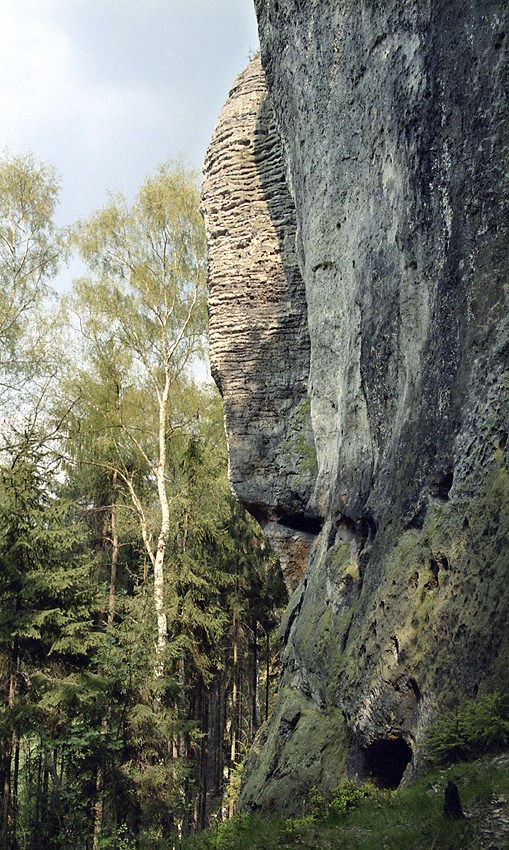 Pillar - larger format