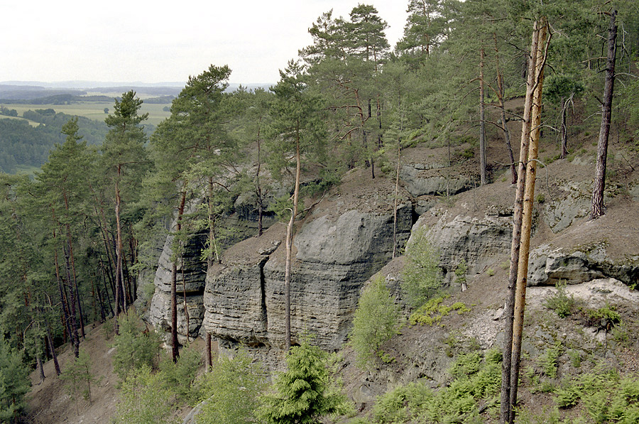 Ve skalch Rae - vt formt