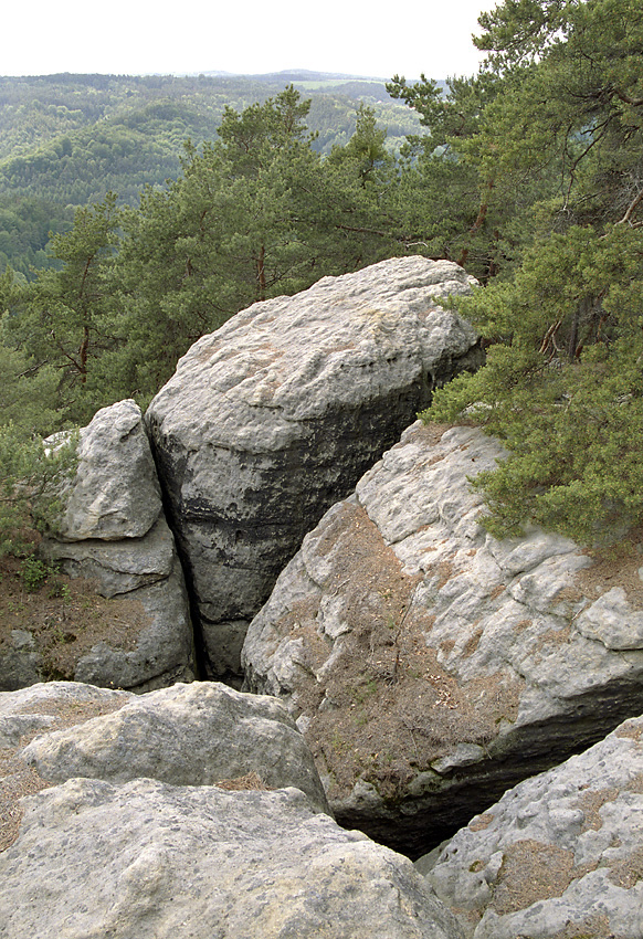 Ve skalách Rače - větší formát