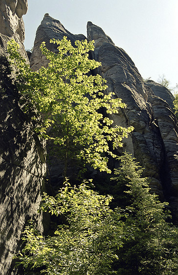 Ve skalch - men formt