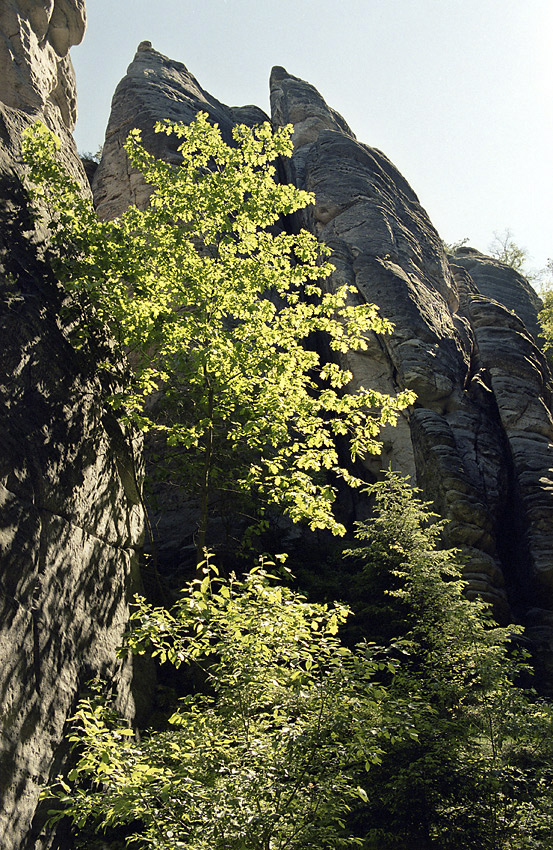 Ve skalch - vt formt