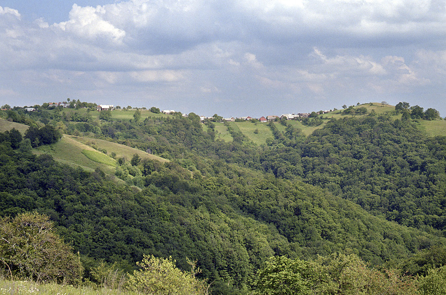 Rovensko - vt formt