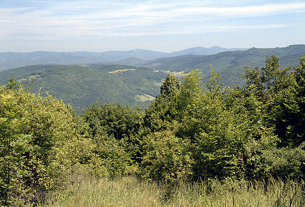 View from "Nettle" - smaller format