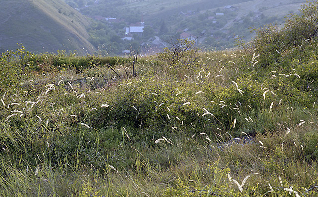 Over "Eibenthal" - smaller format