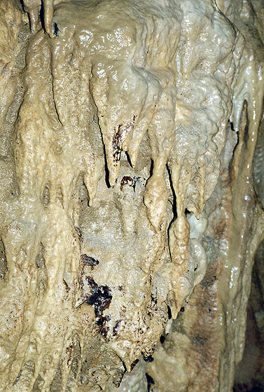 In the "Vranovec" cave - smaller format