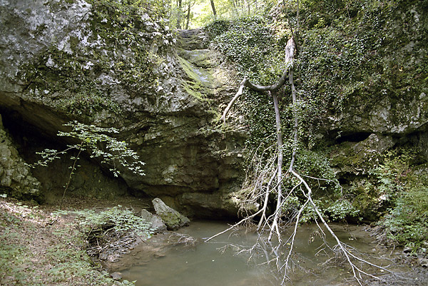 "Limping Rock" - smaller format
