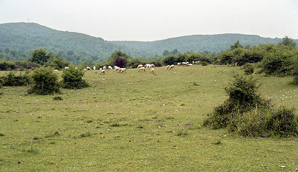 Planina kolem Gernku - men formt