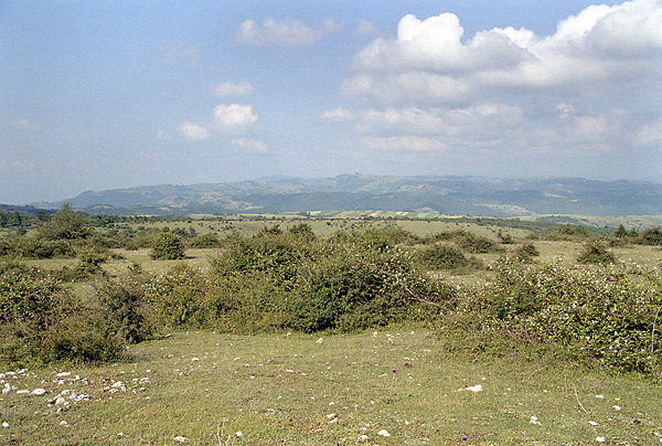 Plain near "Gernik" - smaller format
