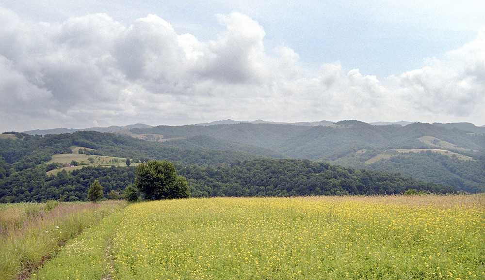 Near "Gernik" - larger format
