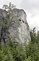 "Cat castle" - main link