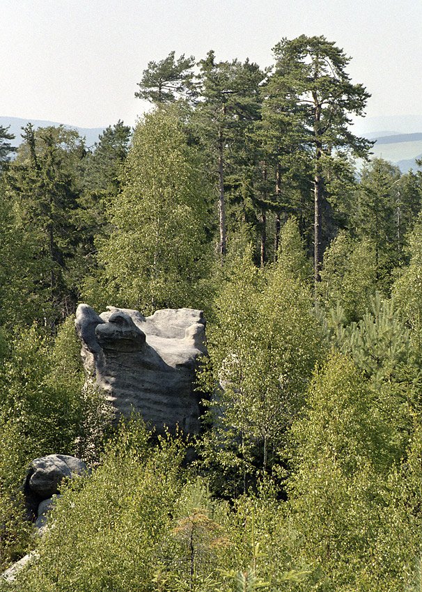 On the "Cow Hill" - larger format