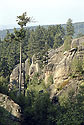 In the "Sand Gorge" - main link