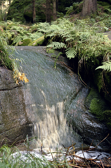 Cascade - smaller format