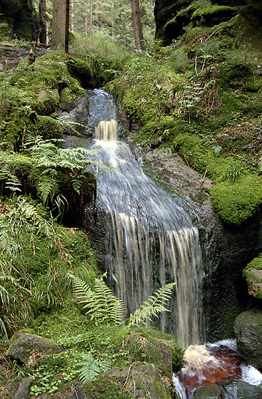 Cascades - smaller format