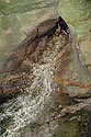 Waterfall flashed - main link