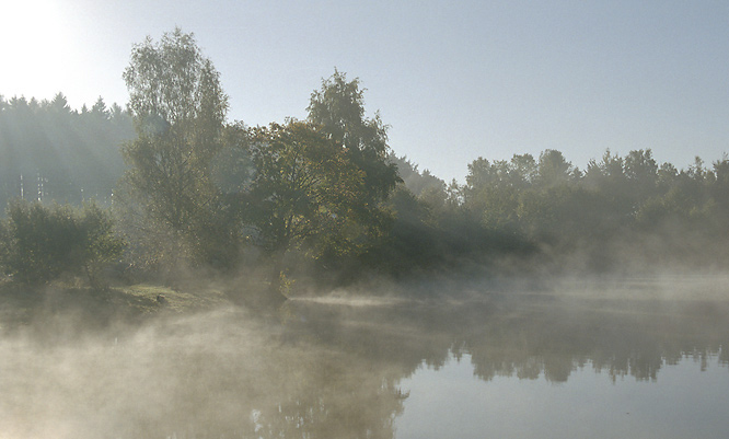 Foggy pond - smaller format
