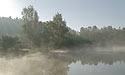 Mlha na rybníku - hlavní odkaz