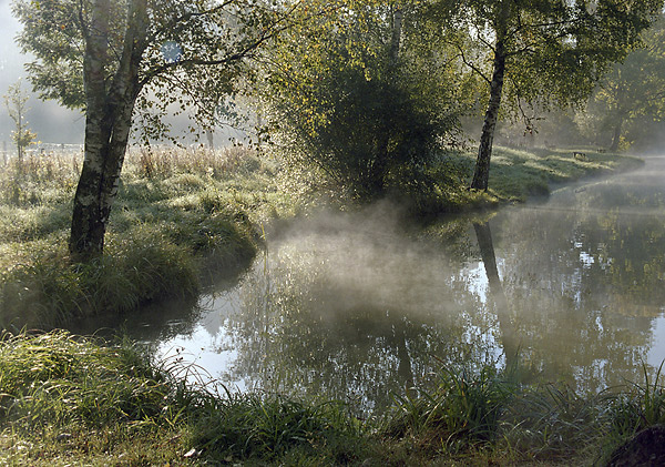 Foggy pond - smaller format