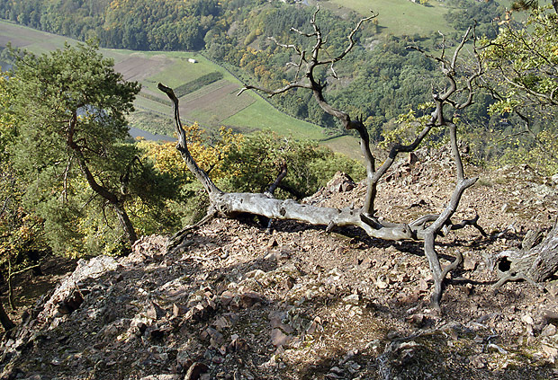 Na Tovickch skalch - men formt